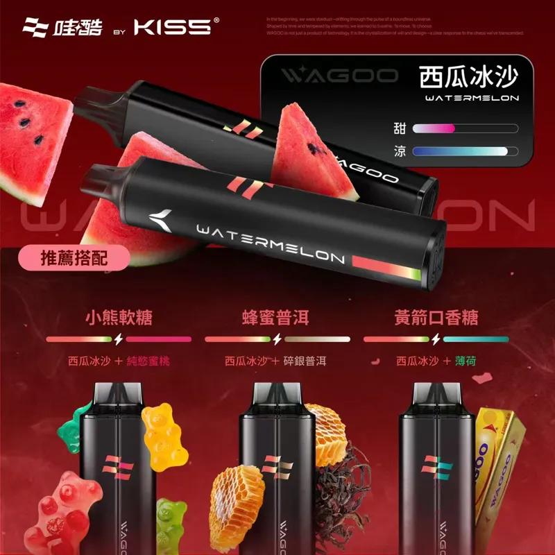 WAGOO哇酷6500口電子煙｜來自KIS5品牌的創新之作